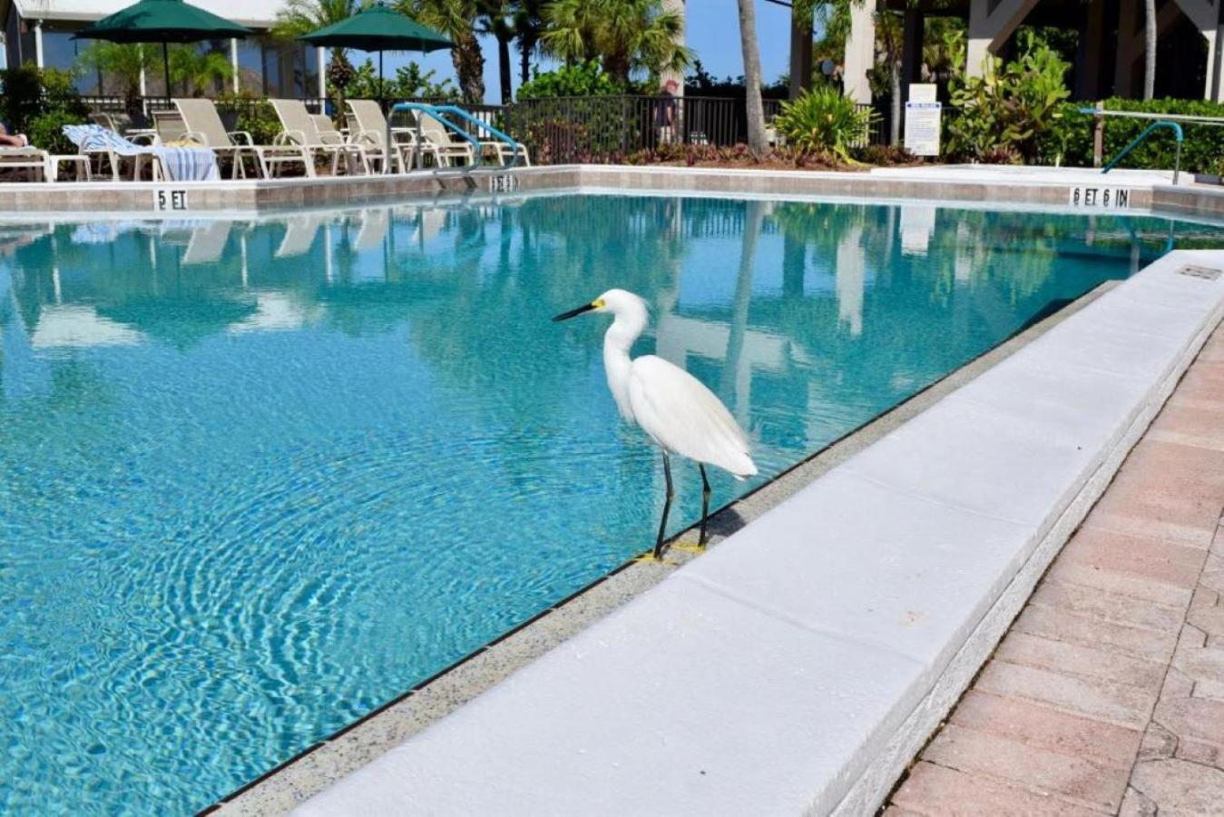 Caribbean Beach Club Fort Myers Beach Kültér fotó